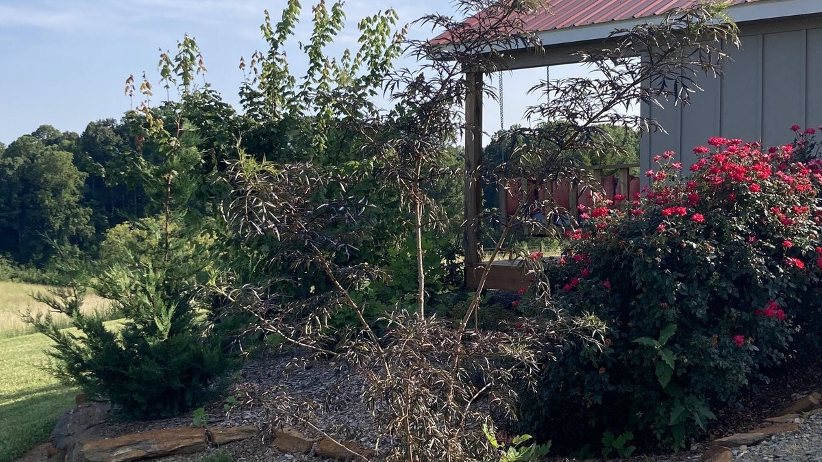 Gladehill Cabin | One room cabin set on our farm for a peaceful getaway.