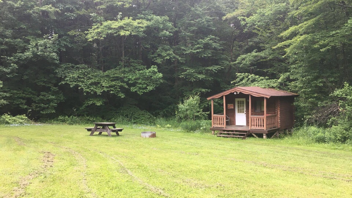 Dryden Cabin | One Room Log Cabin in beautiful Woodland Campground