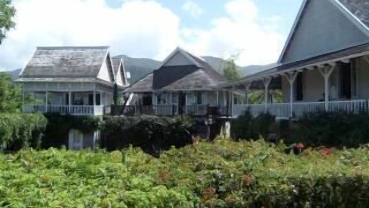 Trenchtown Cottage | *One Week RENT FREE* Blue Mountain Lofts from $50/Night