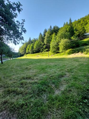 Kolarovice Other | Only Meadow - place for camping