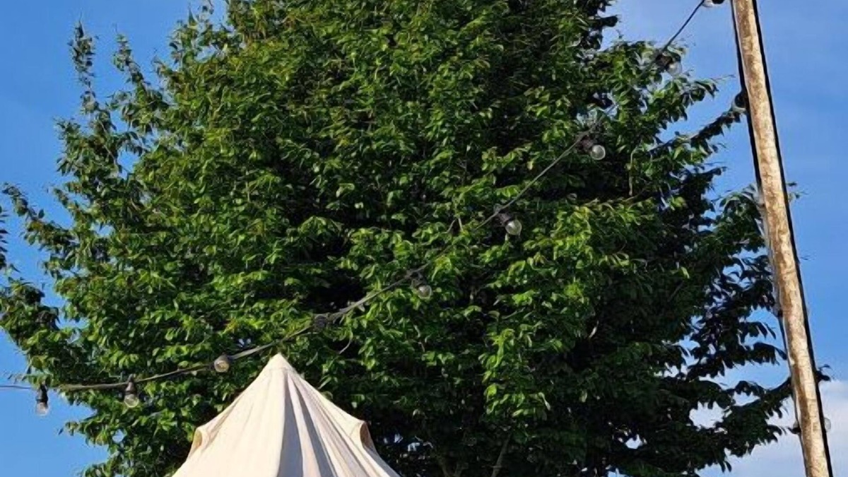 Staden Cabin | Ontwaak met het Geluid van de Natuur en Geniet van het Landelijke Staden