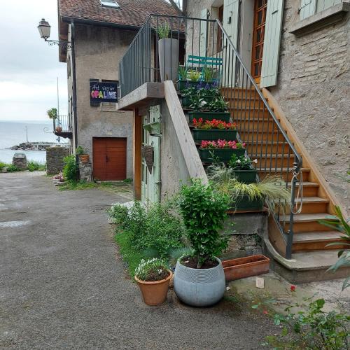 Yvoire House | Opaline Yvoire Terrasse avec vue sur le Lac Léman