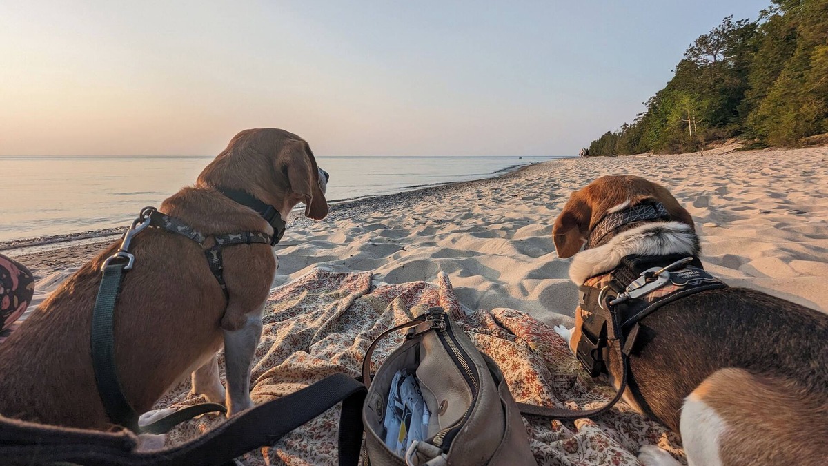 Charlevoix Cottage | Open, bright, pet-friendly cottage w/AC - walking distance to beaches & town!