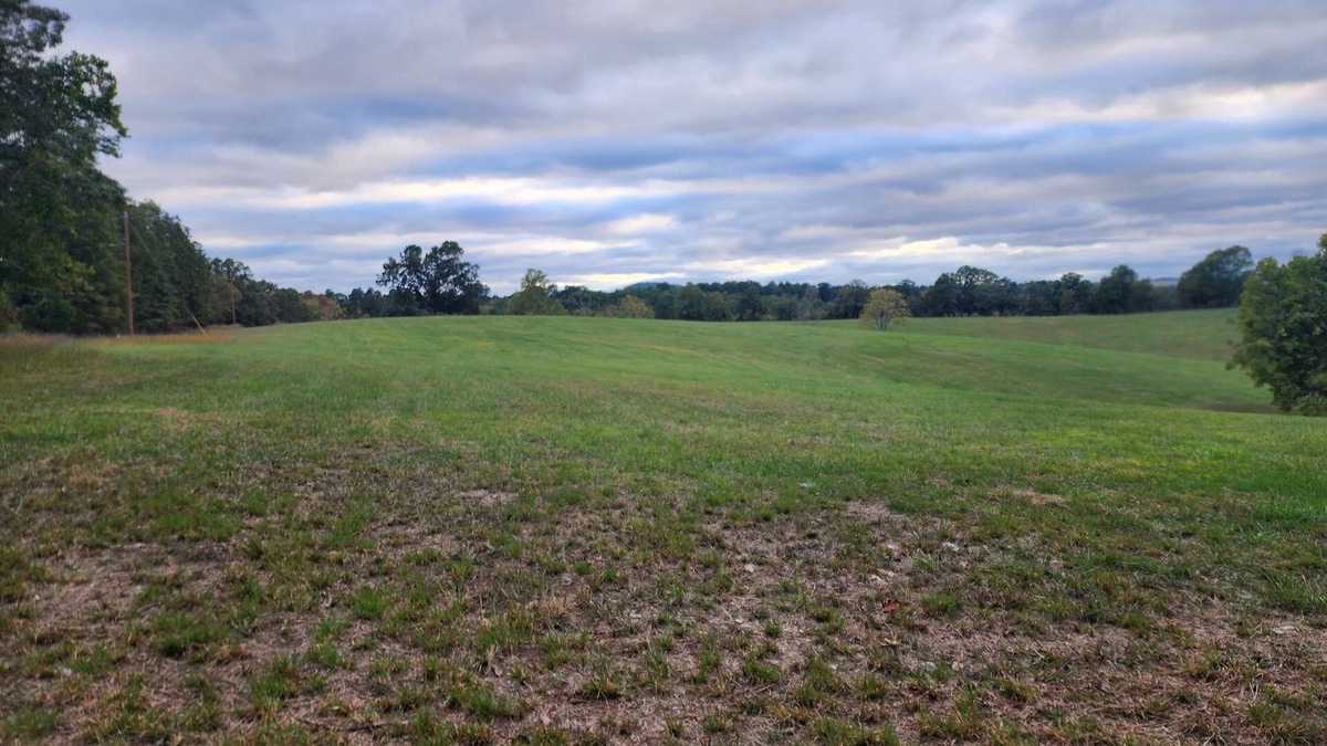 Saint Joe RV Rental | Open Field for camping and star gazing. No amenities or services are provided.