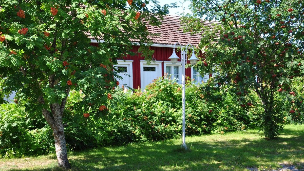 Teuva Bed & Breakfast | Opintola Bed & Breakfast
