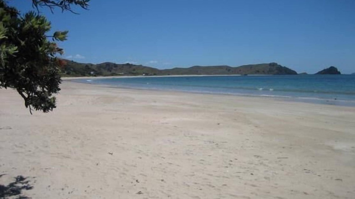 Opito Bay House | Opito Bay - A Slice of Paradise on the Coromandel