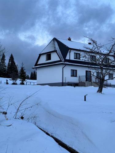 gmina Jabłonka House | Orawska Knieja 2.0
