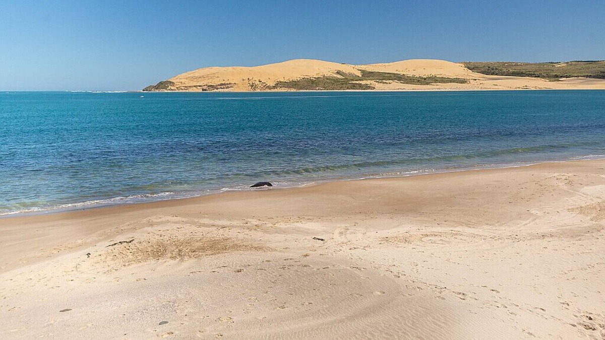 Omapere House | Orca Beach Watch