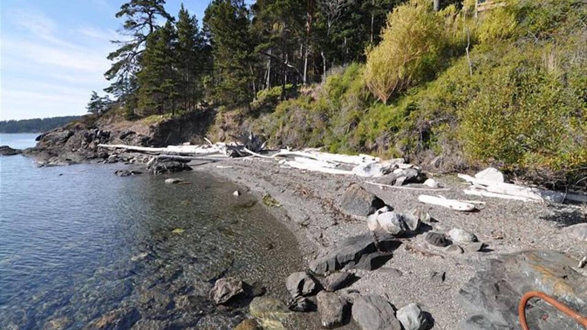 Olga House | Orcas Island, Deer Point Paradise #234