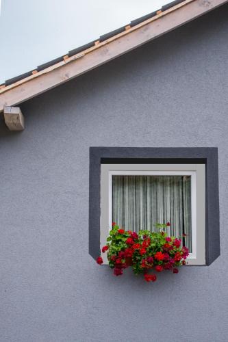 Balatonkenese Apartment | Orchidea Apartman