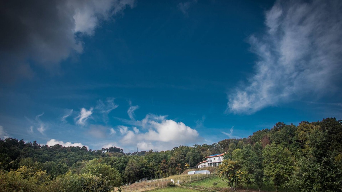 Baldissero Torinese Other | Organic farm a few kilometers from the center of Turin