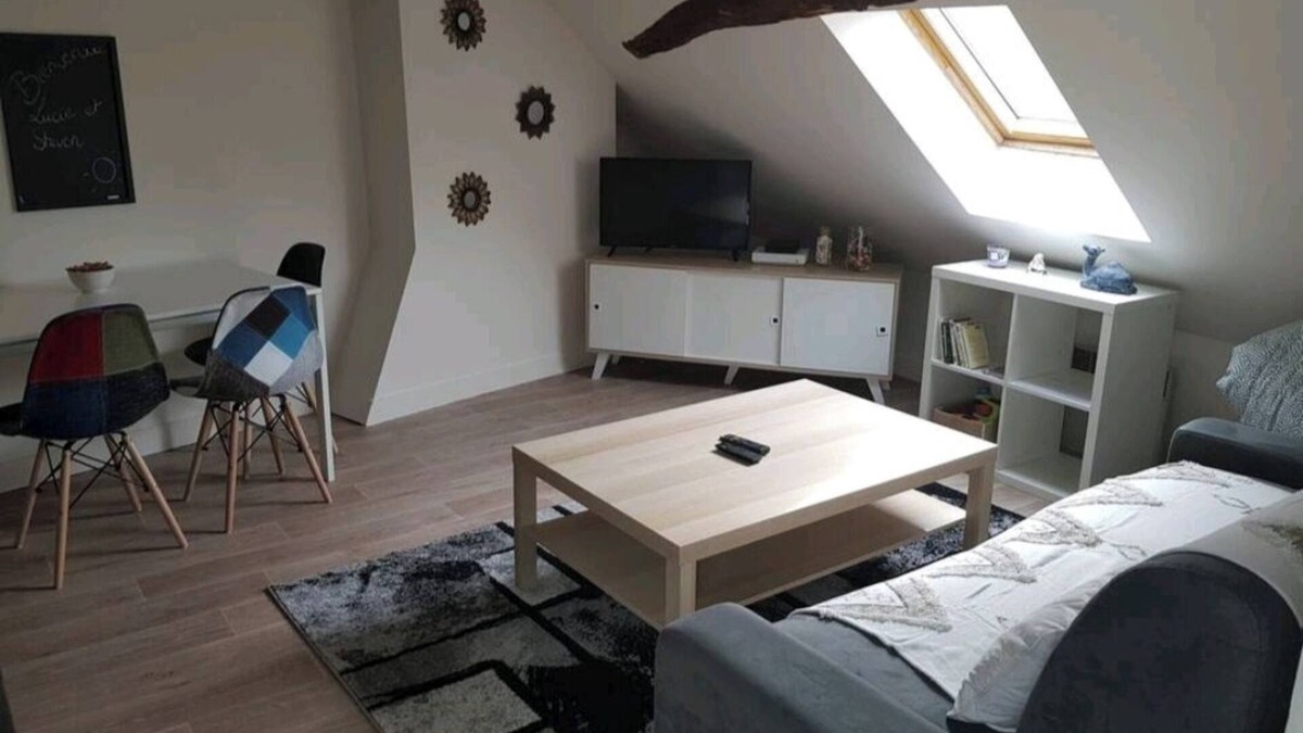 Bourgogne Apartment | Orléans superb T2 between theater and cathedral