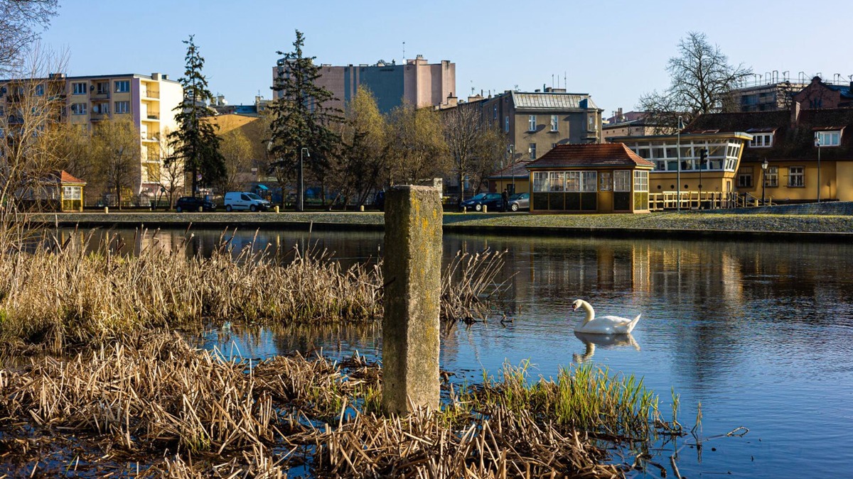 Bydgoszcz Apartment | Oro Przy Star wce Gara Wifi