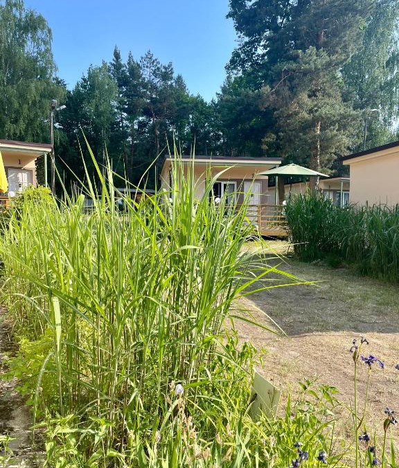Firlej Resort | Osrodek Wypoczynkowy Flora