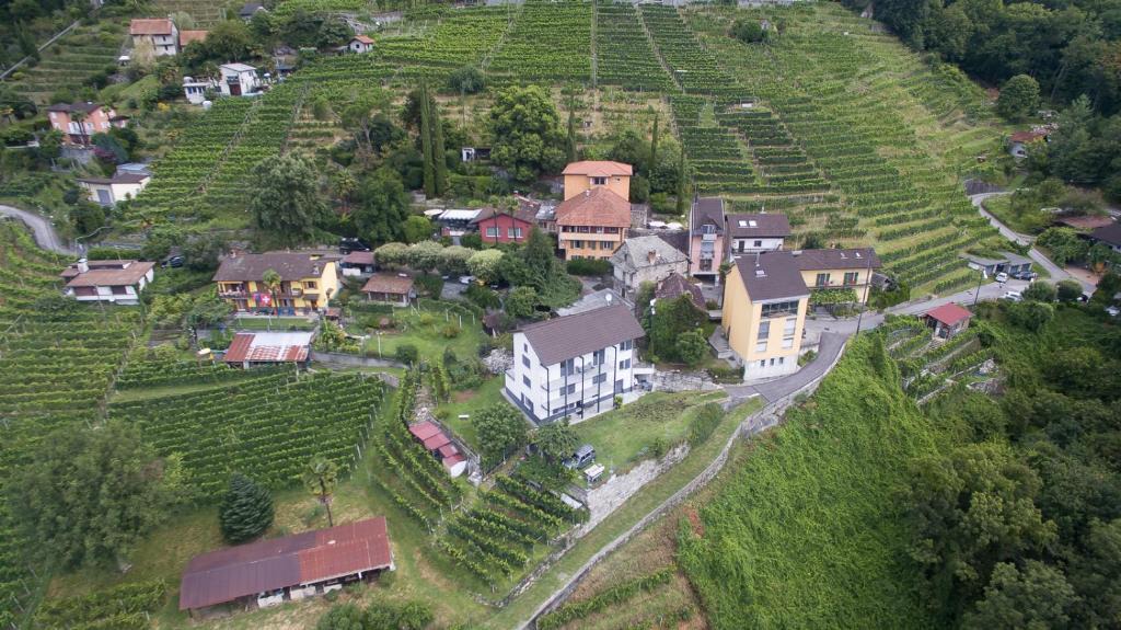 Riazzino House | Osteria Locanda Brack