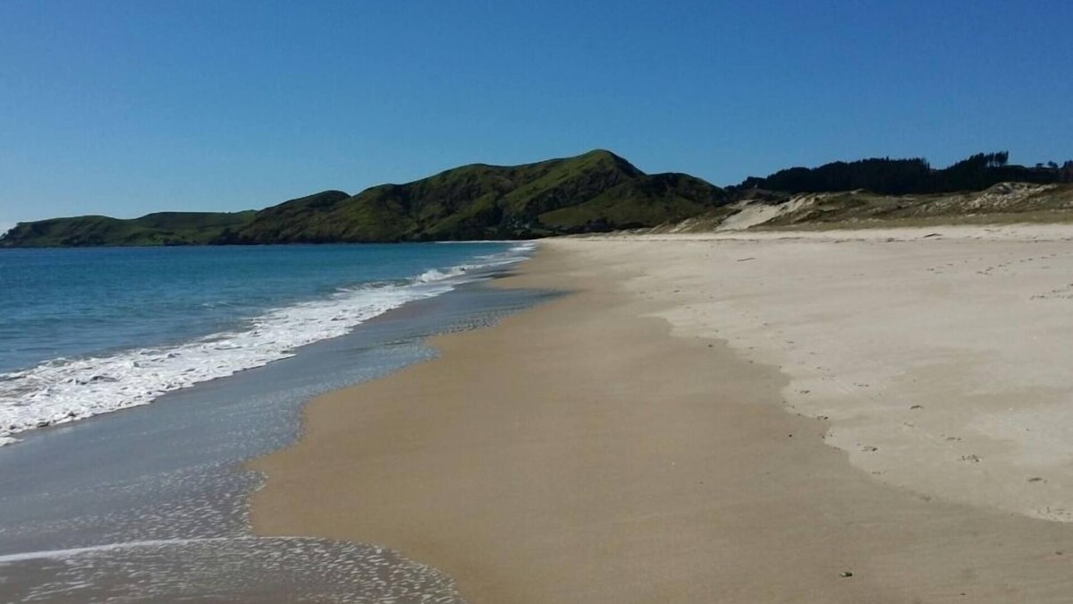 Opito Bay Apartment | Otama Sands Hideaway.