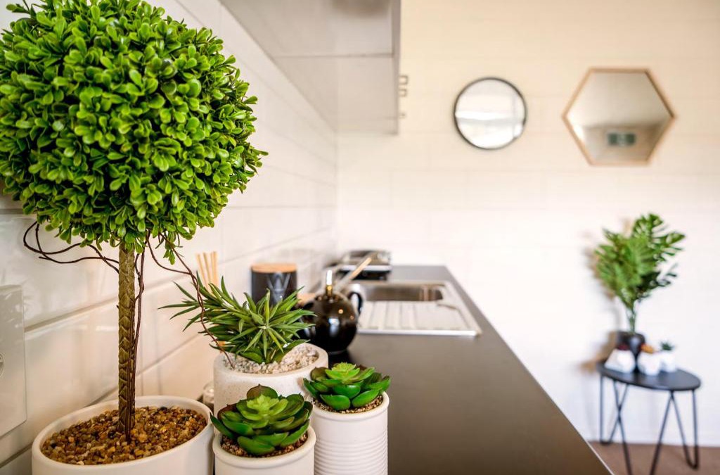 Otematata Apartment | Otematata Escapes