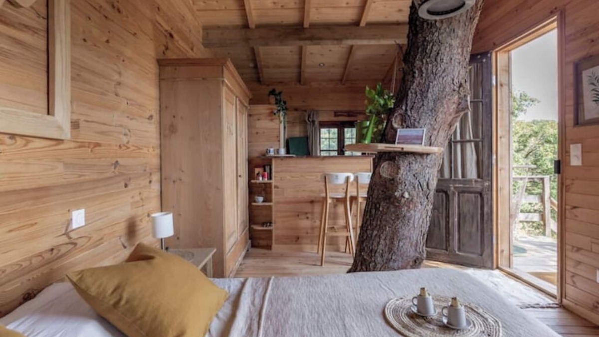 Sorgues Cabin | Our Cabane Perchée in the heart of the vineyards