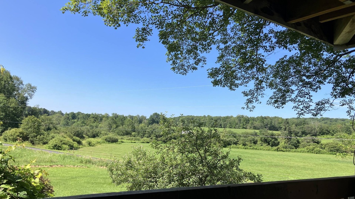 Cooperstown Cabin | Our Ctown property,lite cooking,1 bedroom slp3Cabin WiFi~AC&fishing in our pond!