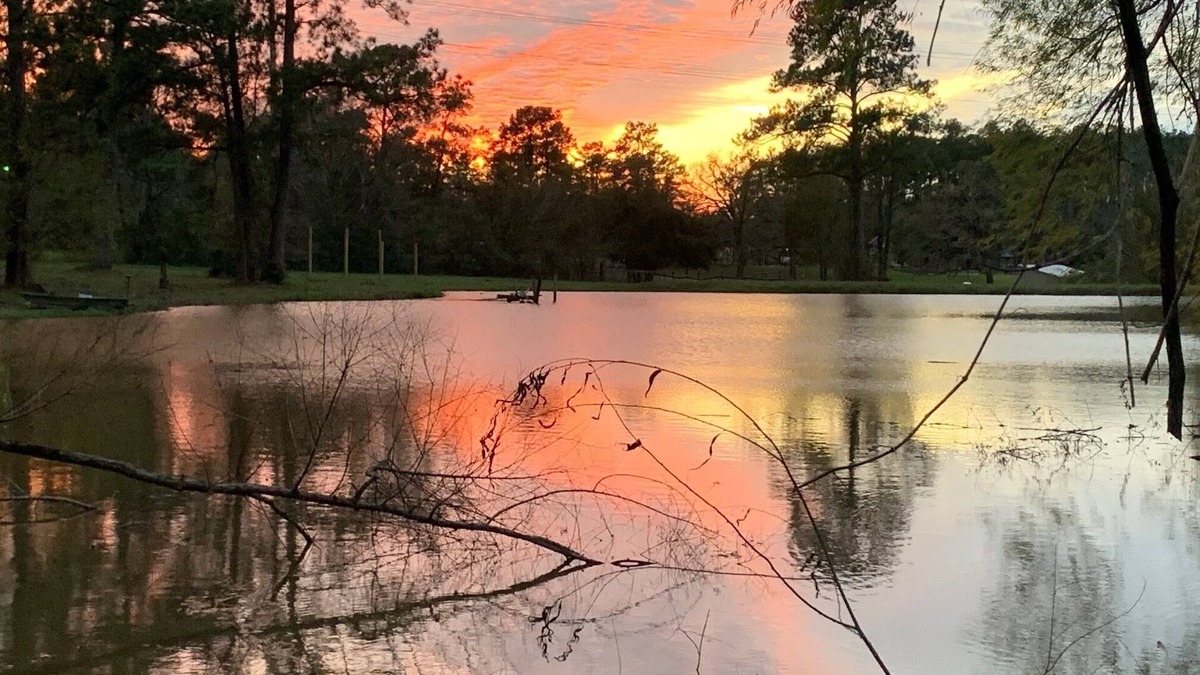 Willis House | Our Happy Place Farm - 2 Bedroom Cabin near Lake Conroe