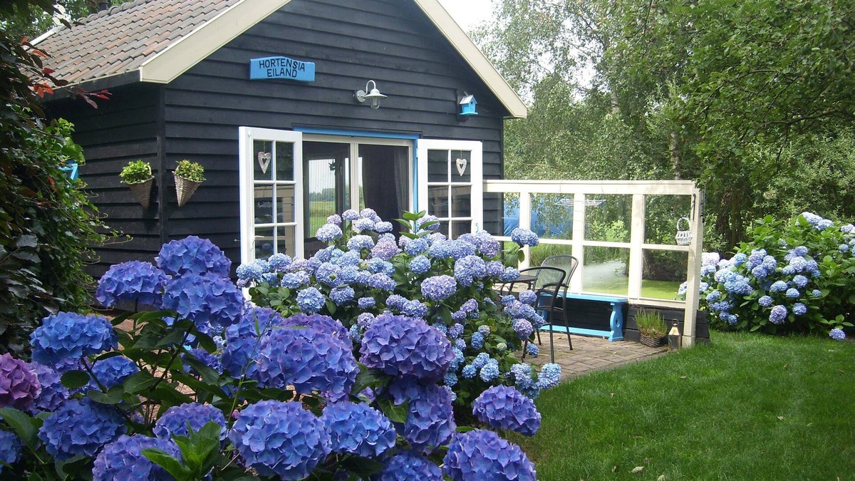 Zegveld Bed & Breakfast | Our holiday home for those seeking tranquility stands on an island surrounded by nature