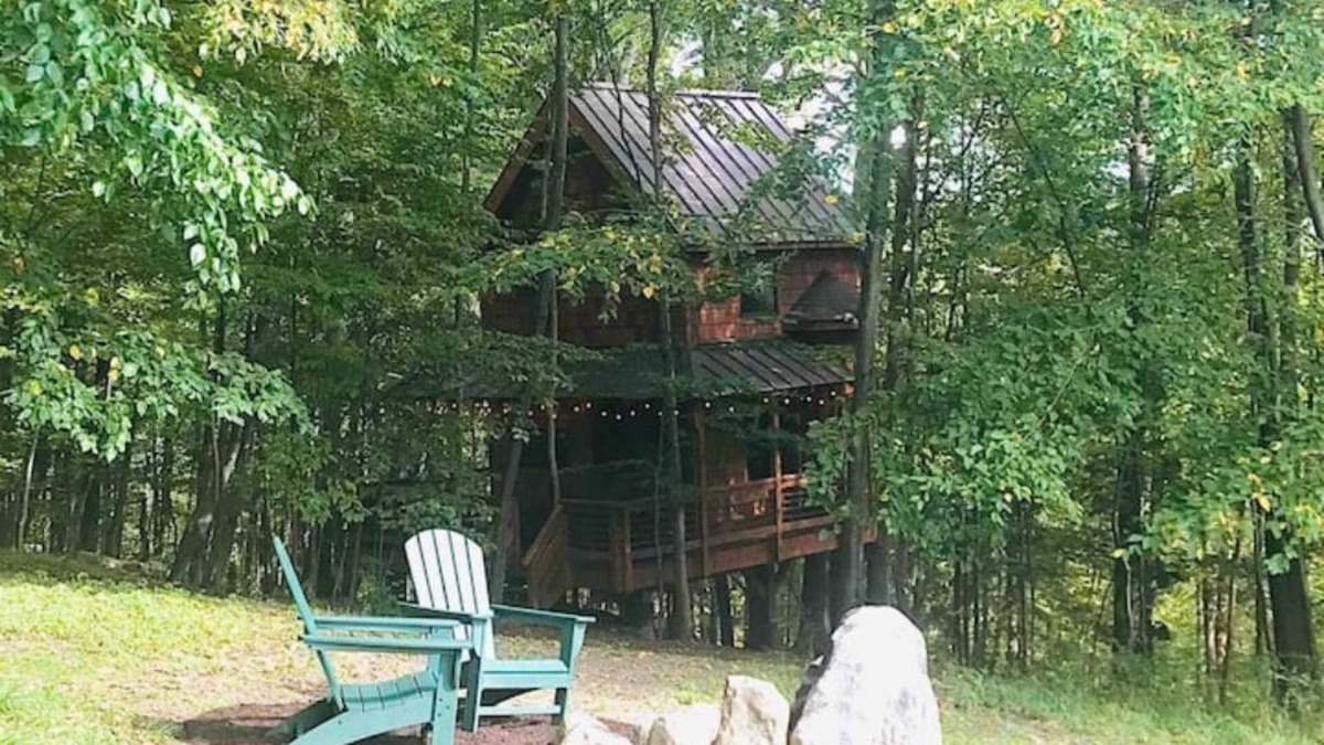 Argyle House | Out On A Limb - A Magical Treehouse Experience