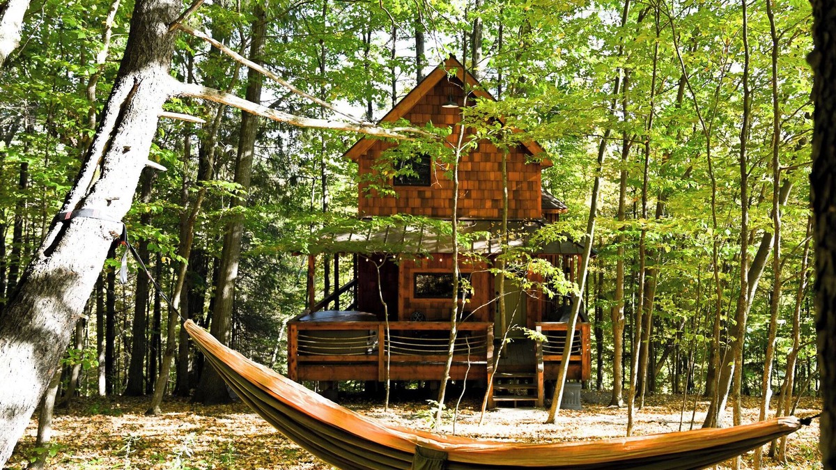 Argyle Bed & Breakfast | Out On a Limb — A Magical Treehouse Experience