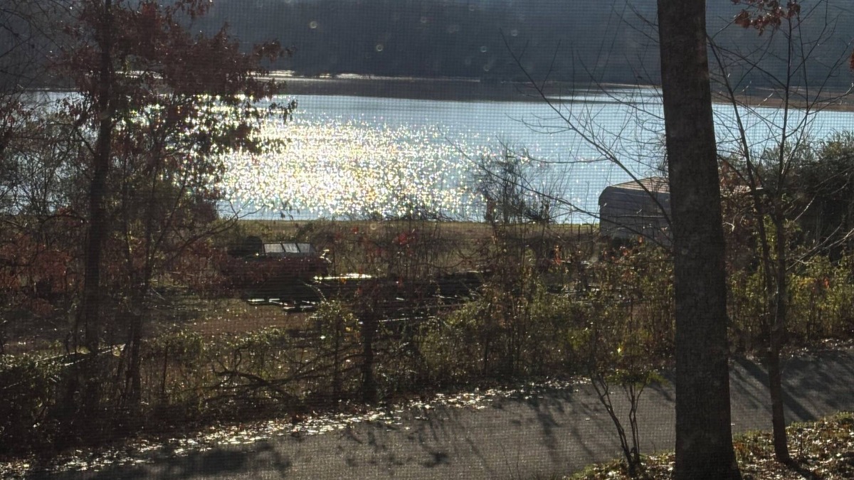 Decaturville Cabin | Outdoor paradise! 3 bedroom water view cabin water access near state parks.