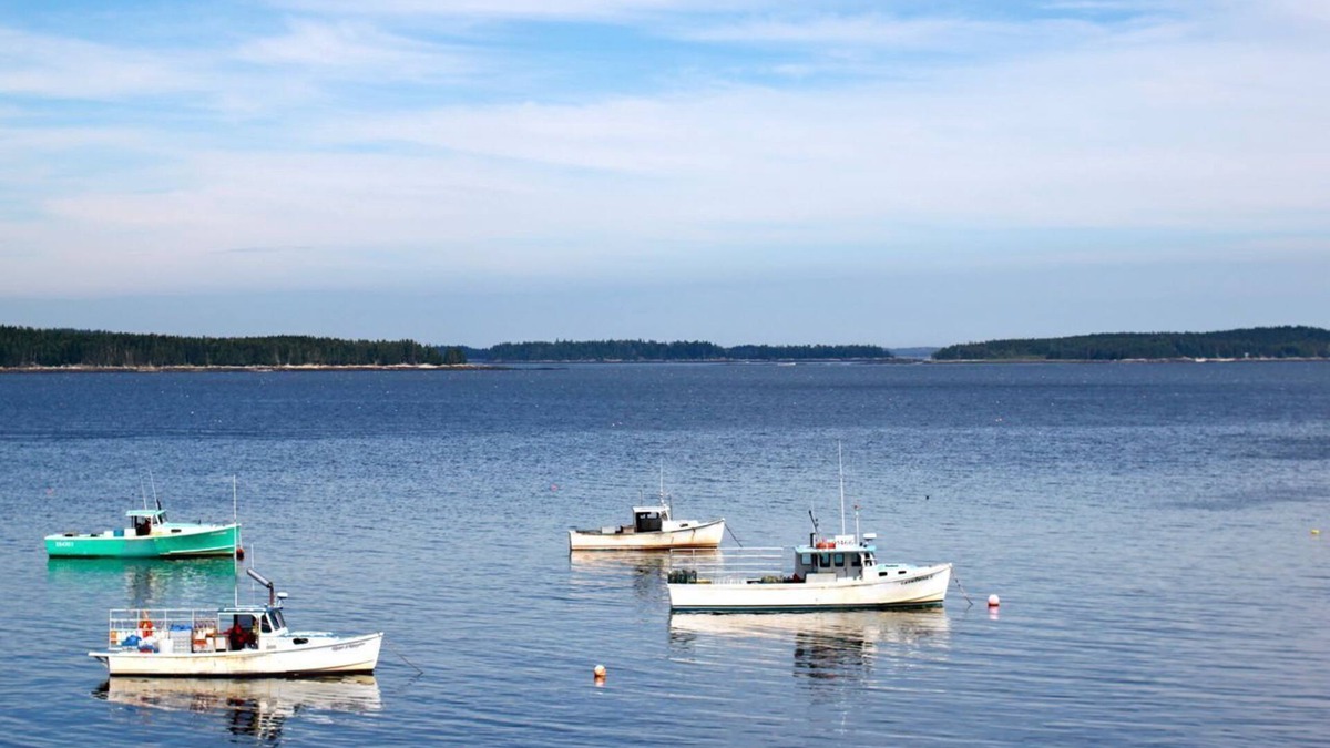 Milbridge House | OUTSTANDING Ocean Front, Working Water Front, Private, - 2nd house availab