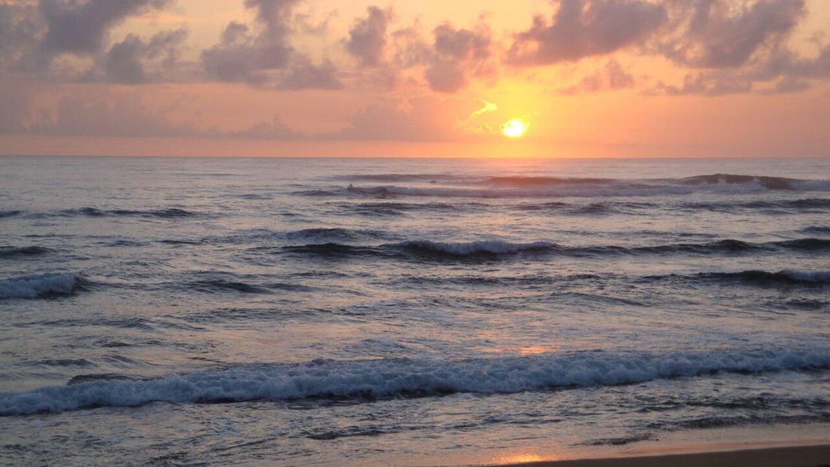 Hanamaulu Condo | Over 350 Avg 5.0 Star Reviews Say It all! This Is The Best Deal On Kauai!n.
