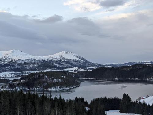 Halsa Bed & Breakfast | Overnatting Rodal