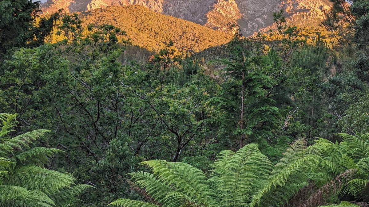 Queenstown House | Owen: Spacious very comfy, genuine quality & views, quiet yet close to amenities