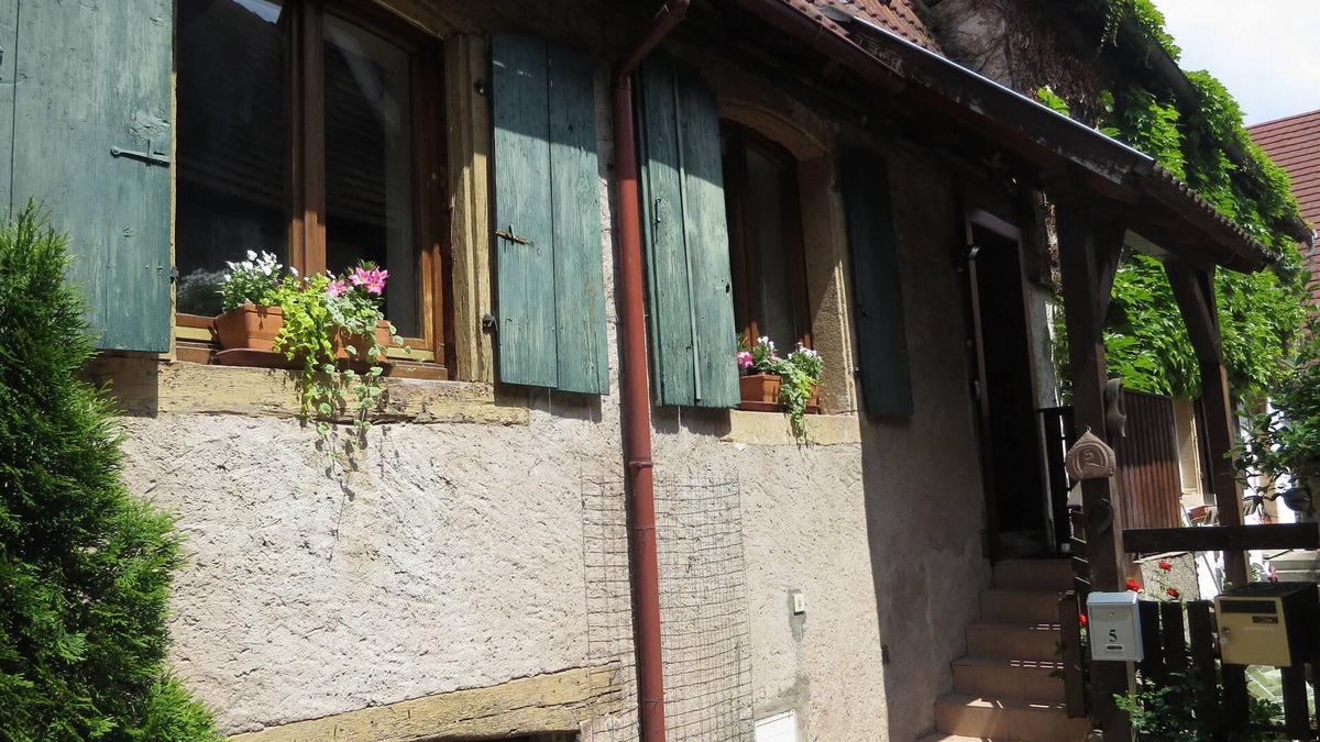 Dambach-la-Ville House | Owl typical house with private terrace