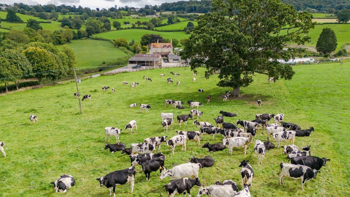 Gloucester Cottage | Owls Nest Barn - sleeps 9 guests in 4 bedrooms