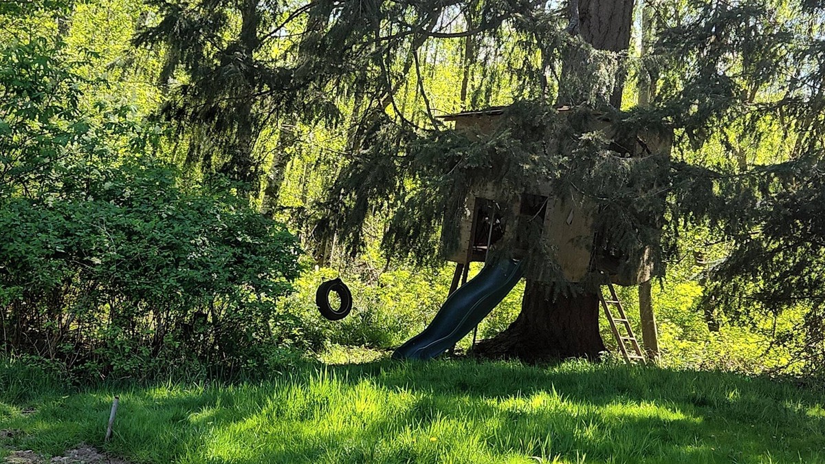 Saratoga Beach Cabin | Oyster river way animal sanctuary and party rentals