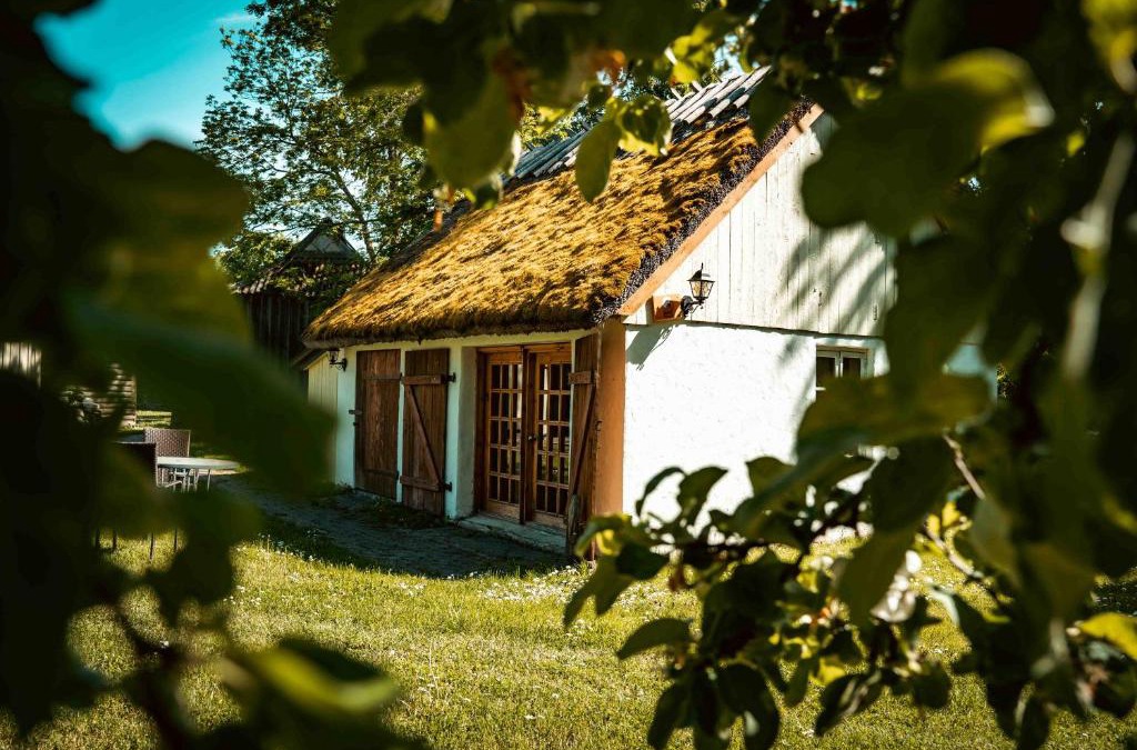 Koguva Ski Chalet | Pärdi suvemaja