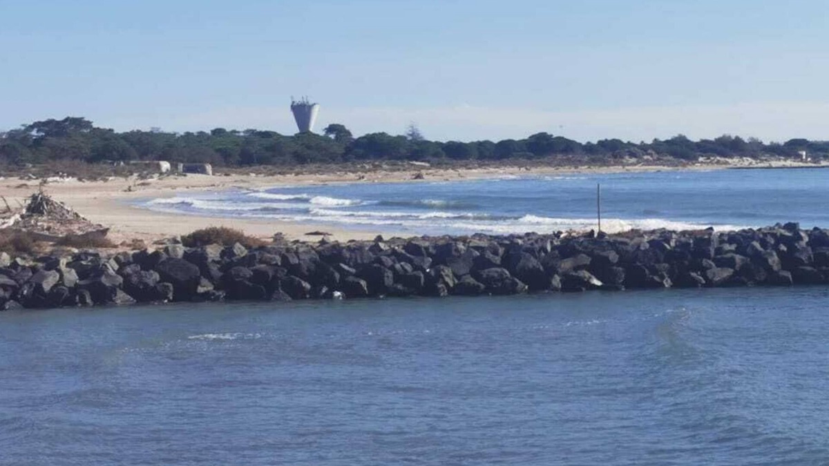 Vias Boat Rental | Péniche sur le Canal du Midi à 5mn de la mer