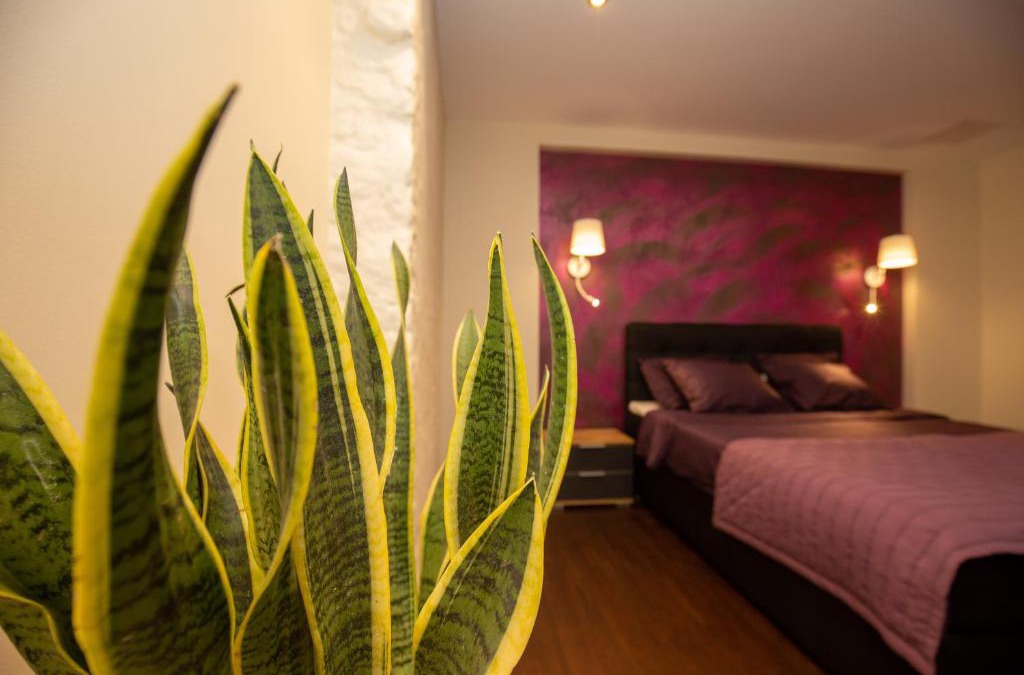 Paide Apartment | P54 Apartment