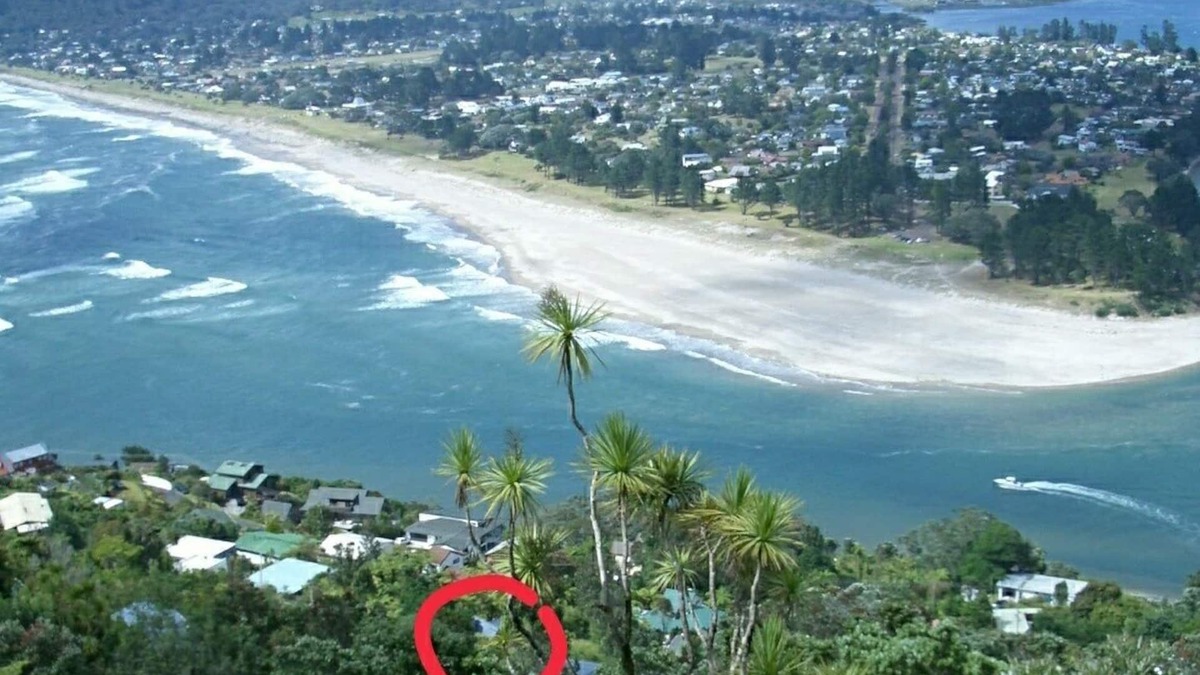 Coromandel Forest Park Cottage | Paku Escape - Tairua Bach