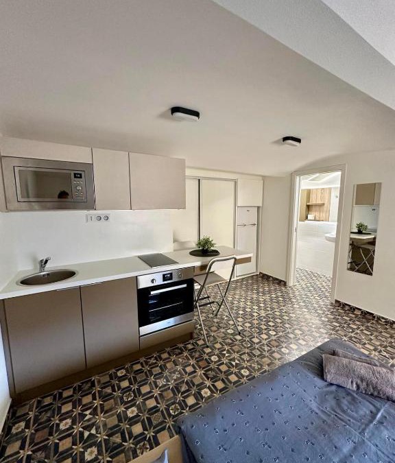 Brno-stred Apartment | Palac Anežka A1