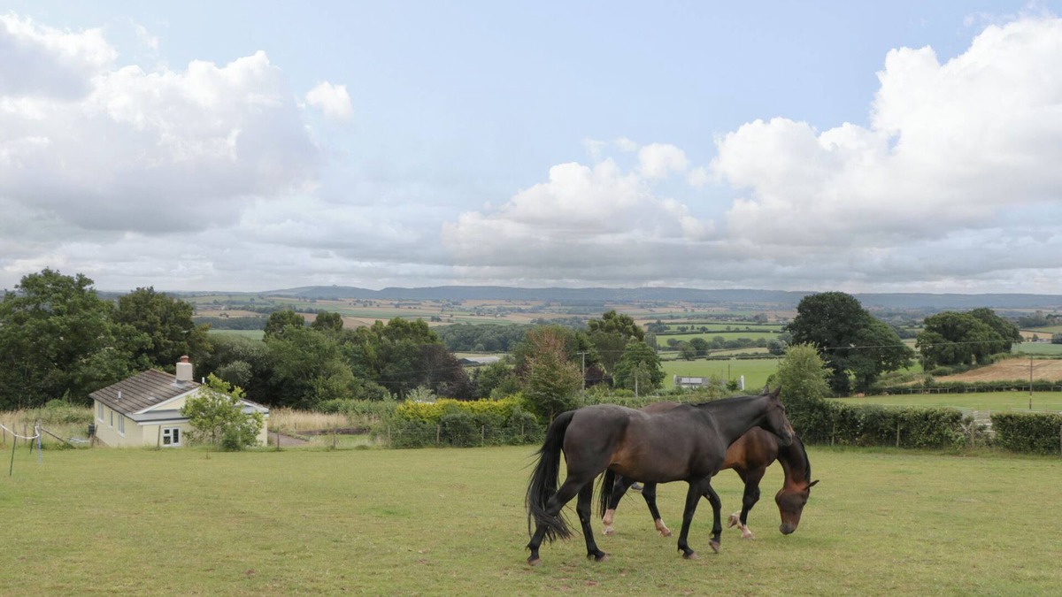 Hereford House | PALACE BUNGALOW, pet friendly, with open fire in St Weonards