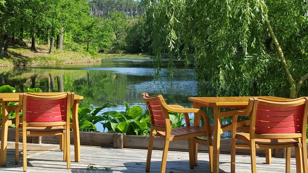 Castets Bed & Breakfast | Palika Lodge