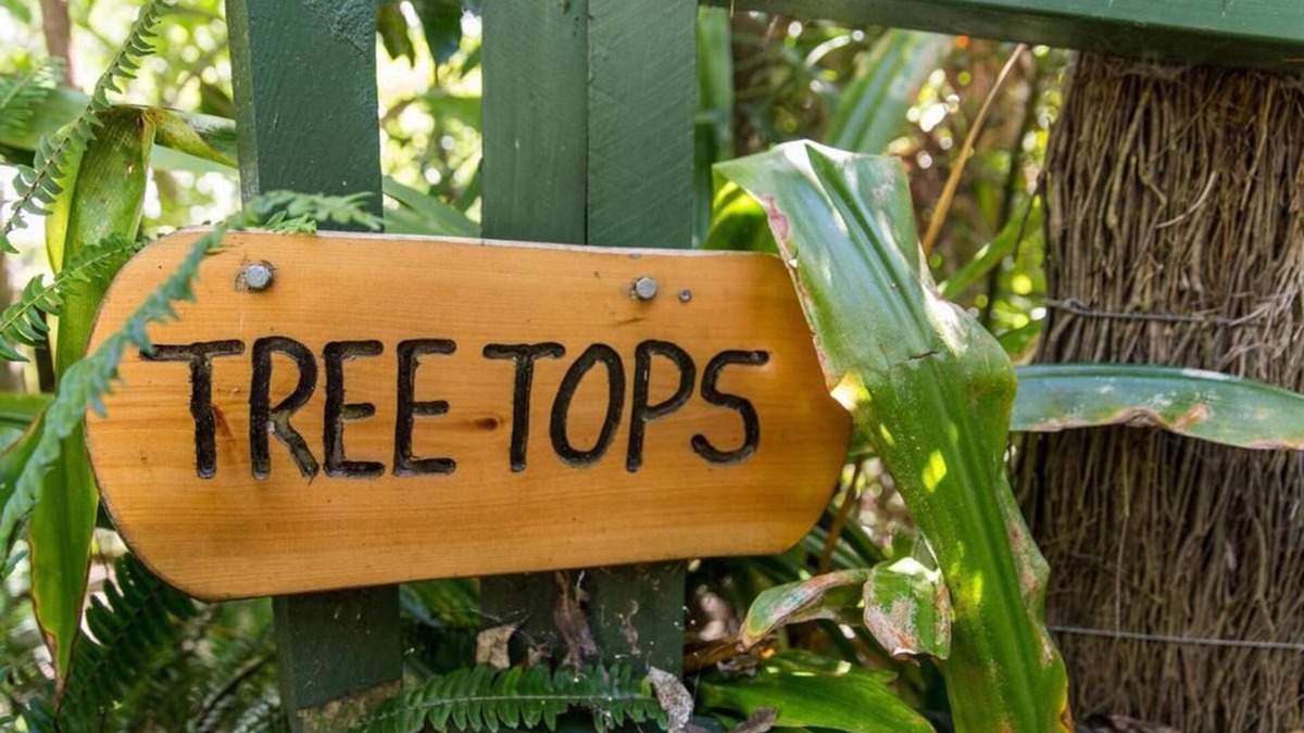 Palm Beach House | Palm Beach Bungalows: Treetops