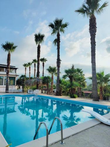 Lamezia Terme Bed & Breakfast | Palm House