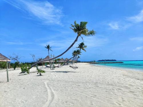 Guraidhoo House | Palm Lagoon