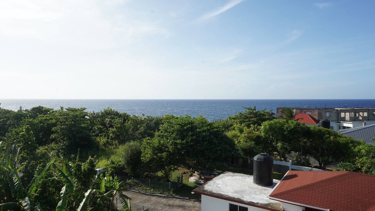 Galina House | Palm palace at Rockville