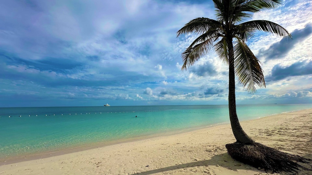 Williams Town Condo | Palm Tree Cove - Stunning Partial Ocean Views; Beachfront Location!