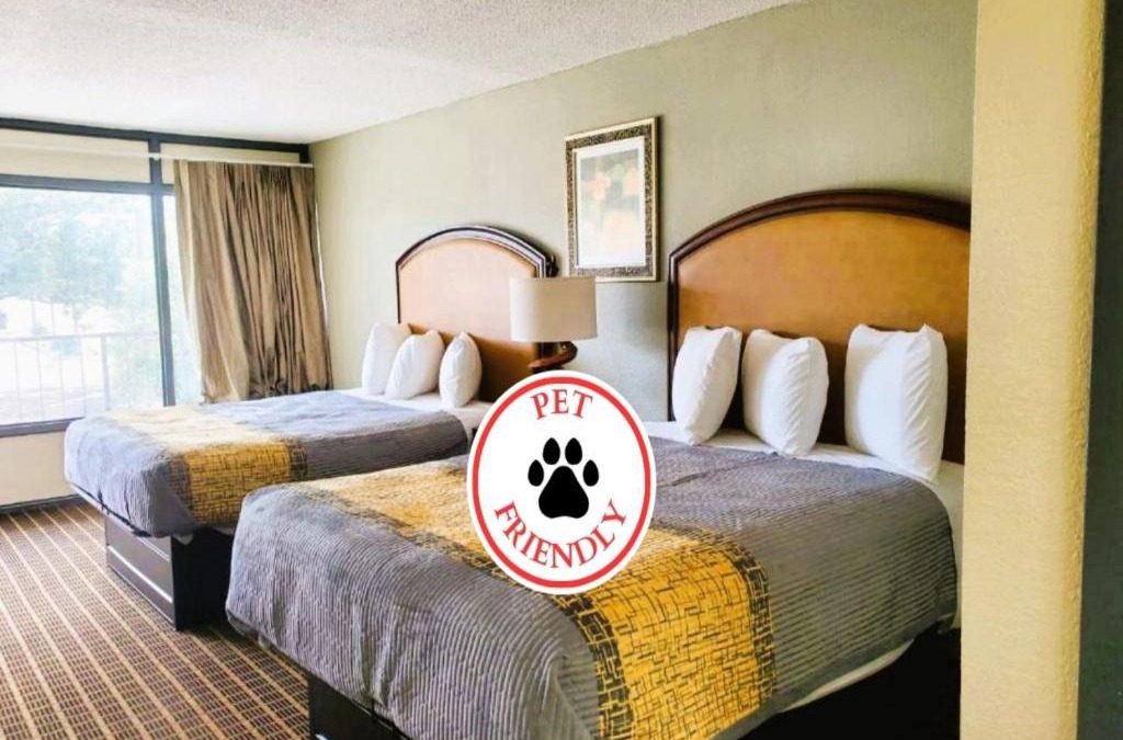 Orangeburg Hotel | Palmetto Inn & Suites by OYO Orangeburg