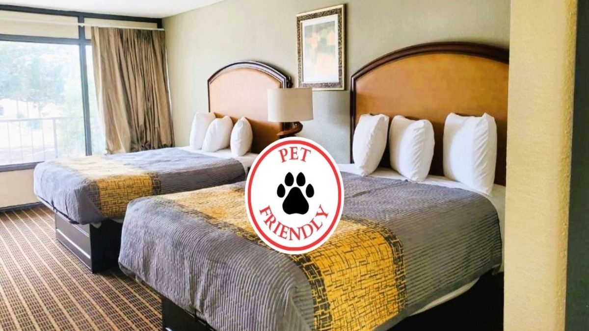 Orangeburg Hotel | Palmetto Inn & Suites by OYO Orangeburg