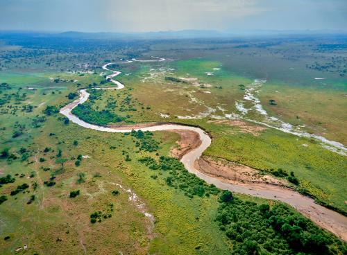 Serengeti National Park Other | Pamoja Serengeti Luxury Camp